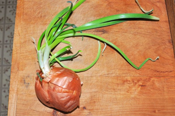 Настоящий сайт kraken