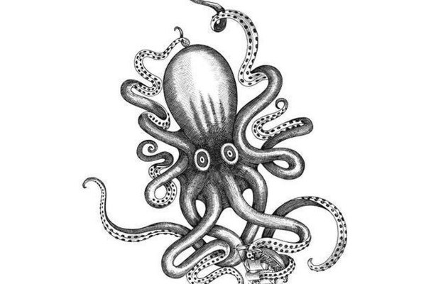 Кракен тор krakens13 at