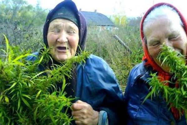 Почему не получается зайти на кракен